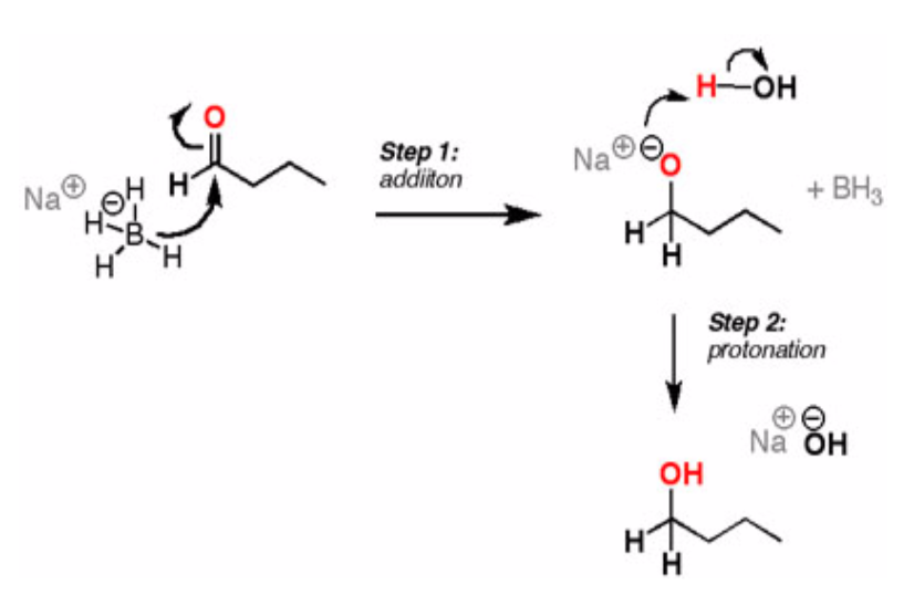 Glutaraldehyde and reduction techniques for immunolabeling \u2013 The Brain Preservation Foundation